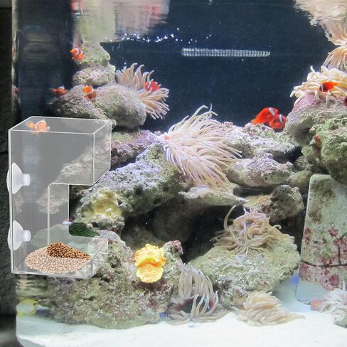 Fish Tank Feeding Tray for Fish Aquarium Feeding Dish Fishes Feeder Fishes Tank Dish with Suction Cup 3.9x2.4 Inch Feeding-Tube Ring Container Holder Dispenser for Turtle Shrimp in Kuwait