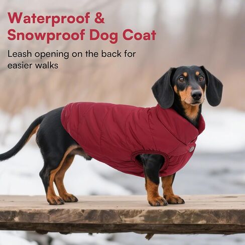 ASENKU Dog Winter Coat Dog Fleece Puffer Jacket for Small Medium Large Dogs in Kuwait