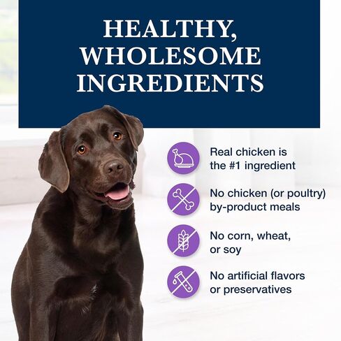Blue Buffalo Natural Veterinary Diet W+U Weight Management + Urinary Care Dry Dog Food, Veterinarian Prescription Required, Chicken, 22-lb Bag in Kuwait