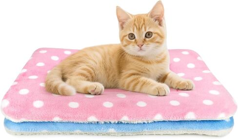 2 Pack Cat Blanket for Indoor Cats, Ultra Soft & Warm Calming Bed in Saudi Arabia