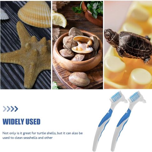 NOLITOY Turtle Cleaning Brush Aquatic Mud Tortoises Shells Removing Brush Cleaner with Grip Rubber Handle for Promoting Shell Health 2pcs in Saudi Arabia