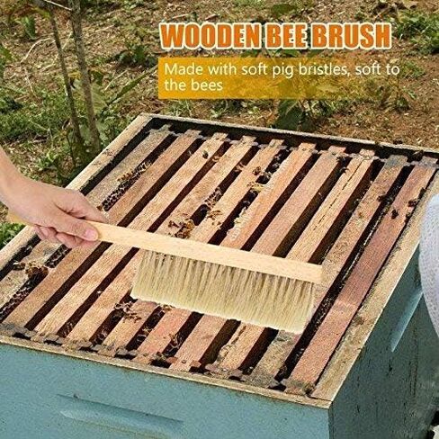 Fdit Beekeeping Pig Hair Bee Hive Brush Comb Beekeeper Beehive Tool Equip Equipment (Double Row) with Wooden Handle Beekeeping in Saudi Arabia