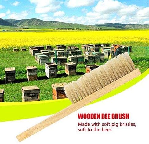 Fdit Beekeeping Pig Hair Bee Hive Brush Comb Beekeeper Beehive Tool Equip Equipment (Double Row) with Wooden Handle Beekeeping in Saudi Arabia