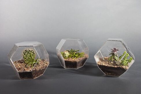 terrarium الجيوديسية الزجاجية اليدوية in Saudi Arabia