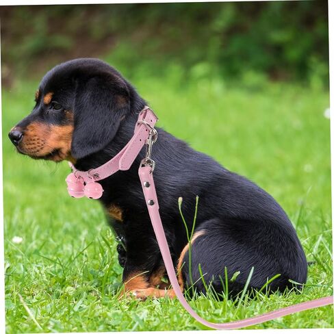 Ganazono Pet Dog Cat Cat Twiroling Rope Rope Leash مع حزام الجرس للمشي يوميًا استخدم اللون العشوائي الوردي in Kuwait