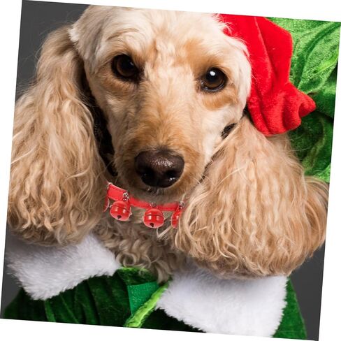 Generic Pet Dog Cat Collar Leash with Bell Red Pulling Rope Strap for Daily Walking Outdoor Sports Suitable for Puppies and Pets in Saudi Arabia