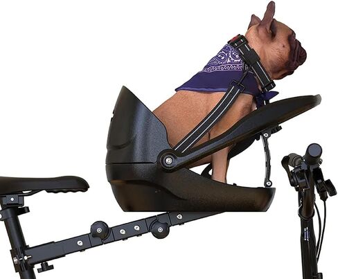 Dog Bike Basket with Adjustable Frame, Lightweight Pet Bike Carrier Seat for Small Dogs and Cats, Front Mounted Bicycle Dog Basket up to 15lbs in Saudi Arabia
