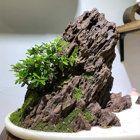 5LB Aquarium Rocks Dragon Stone for Aquariums Landscaping Model Fish Tanks Terrariums Vivariums Model Decoration-2 to 4 Inches in Saudi Arabia