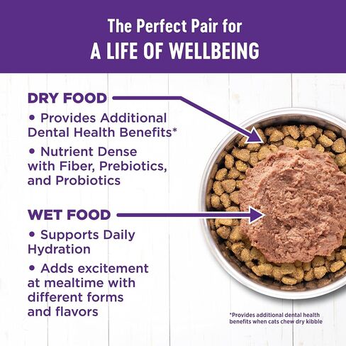 Wellness Complete Health Pate Kitten Wet Cat Food, Natural, Protein-Rich, Grain Free, 3 Ounce, 12 Pack, (Whitefish & Chicken Variety Pack) in Kuwait