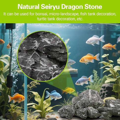 Natural Seiryu Dragon Stone - 20 رطلاً من المناظر الطبيعية لمحوسي السمك لزواحف زواحف خزان الأسماك ودبابة 3-10 بوصة زخرفة حوض السمك in Kuwait