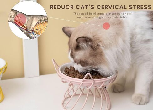 Elevated Cat Food Dish, Ceramic, Non-Slip Stand, Raised Feeding Station, 5 in, Shallow for Whiskers, Dishwasher Safe in Kuwait