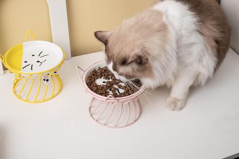 Elevated Cat Food Dish, Ceramic, Non-Slip Stand, Raised Feeding Station, 5 in, Shallow for Whiskers, Dishwasher Safe in Kuwait