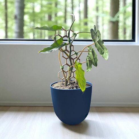 Modular Plant Trellis Starter Pack | Customizable Indoor Plant Support | Modern Houseplant Accessory | Strong Hold (Navy Blue) in Saudi Arabia
