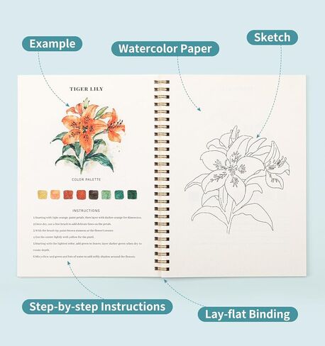 مصنف مائي ، كتاب تلوين الماء ، 12 نمطًا مختلفًا من تصميمات DIY الأصلية ، و 50 لونًا طلاءًا مائيًا مع لوحة وفرشاة ، ومصنفات مائية صديقة للمبتدئين (باقات) in Kuwait