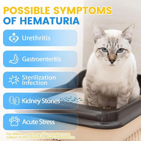 Neword Crystals Cat Sterter Health Monitor Resident Cater Cat Sterter - Deptection Deptection - يساعد في اكتشاف المخالفات في البول القط - القمامة الكريستالية غير المنقوشة مع هلام السيليكا 8 رطل. شنطة in Kuwait
