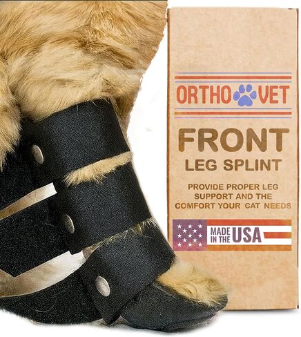 Standard Front Leg Brace for Cats with Injuries, Arthritis, or Licking Prevention, Durable & Lightweight Post-Surgery Protection for Pets - XXS in Kuwait