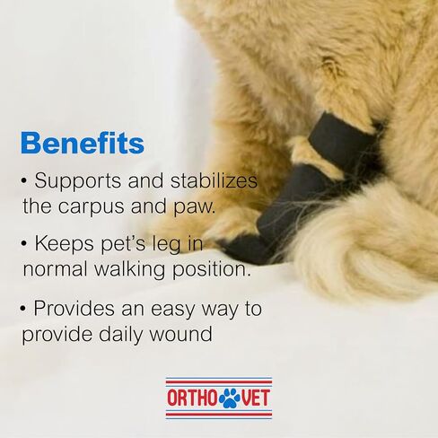 Standard Front Leg Brace for Cats with Injuries, Arthritis, or Licking Prevention, Durable & Lightweight Post-Surgery Protection for Pets - XXS in Kuwait