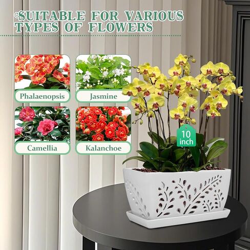 Ceramic Orchid Pot, 10 Inch Rectangular Orchid Pots with Holes, Premium Thickened Handmade Glazed Pot for Orchidaceae Plants, Indoor Outdoor Decorative Flower Pots for Easy Repotting in Saudi Arabia