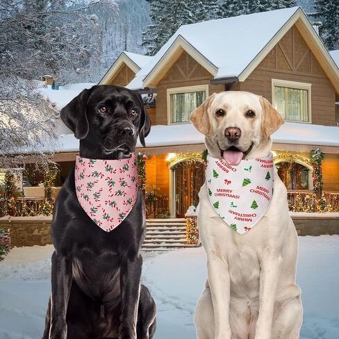 Fall Dog Bandanas Large 3pcs ، 6 نمط وشاح لعيد الشكر للصبي والفتاة ، يترك اليقطين زهور المثلث عكس المريلة للحيوانات الأليفة الجرو in Kuwait
