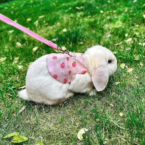 2-Pack Small Pet Harness & Leash Set – Soft, Adjustable Vest for Rabbits, Kittens, Squirrels & More (Pink, L) in Kuwait