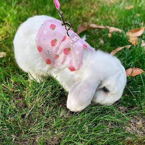 2-Pack Small Pet Harness & Leash Set – Soft, Adjustable Vest for Rabbits, Kittens, Squirrels & More (Pink, L) in Kuwait
