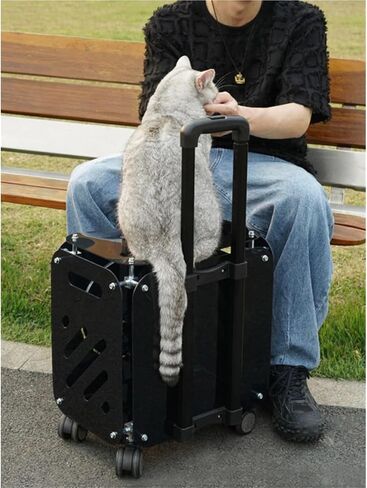 حقيبة Cat Trolley Pet Supcase Class كبيرة السعة كبيرة الكلاب حقائب الهواء حقوق نقل منتجات النقل in Kuwait