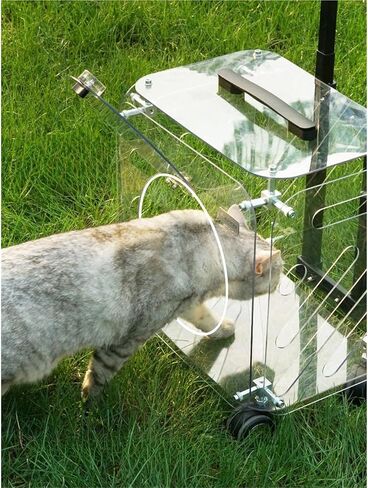 حقيبة Cat Trolley Pet Supcase Class كبيرة السعة كبيرة الكلاب حقائب الهواء حقوق نقل منتجات النقل in Kuwait