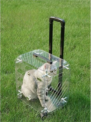 حقيبة Cat Trolley Pet Supcase Class كبيرة السعة كبيرة الكلاب حقائب الهواء حقوق نقل منتجات النقل in Kuwait