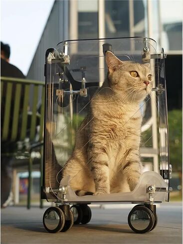 حقيبة Cat Trolley Pet Supcase Class كبيرة السعة كبيرة الكلاب حقائب الهواء حقوق نقل منتجات النقل in Kuwait