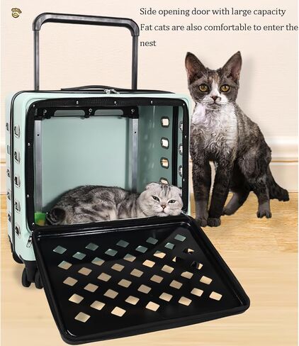 حامل عربة الحيوانات الأليفة ، مادة PVC ، حامل القطط المتداول مع الباب الجانبي ، تصميم مقصورة الفضاء الشفافة ، 19.69x19.69x11.02 بوصة in Saudi Arabia