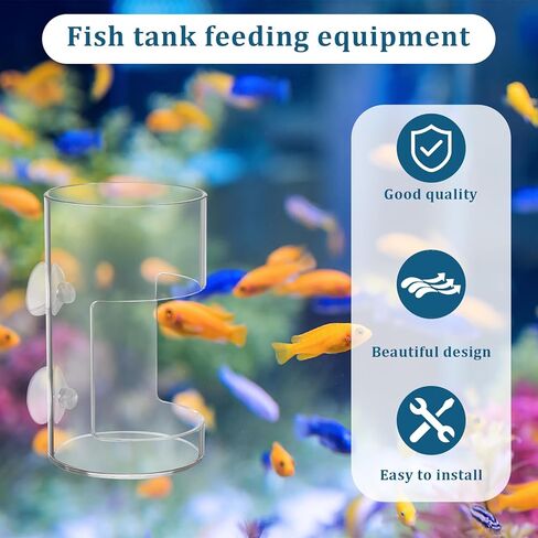صينية تغذية خزان الأسماك ، تغذية طعام الأسماك مع كوب شفط جديد أسماك صافية مغذيات خزان الأسطوانة الاسطوانة الشفافة in Kuwait