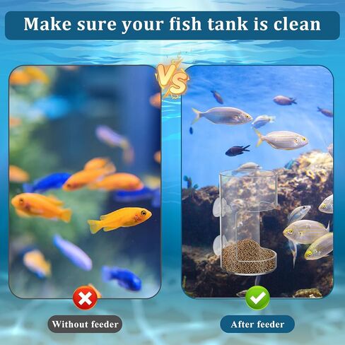 صينية تغذية خزان الأسماك ، تغذية طعام الأسماك مع كوب شفط جديد أسماك صافية مغذيات خزان الأسطوانة الاسطوانة الشفافة in Kuwait