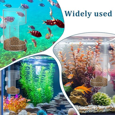 صينية تغذية خزان الأسماك ، تغذية طعام الأسماك مع كوب شفط جديد أسماك صافية مغذيات خزان الأسطوانة الاسطوانة الشفافة in Kuwait