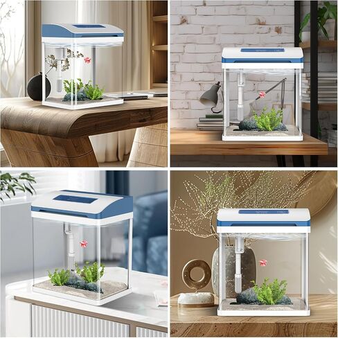 Betta Fish Tank 2 Gallon Glass Aquarium Starter Kit و Small Fish Tank with Filter and Light. in Kuwait