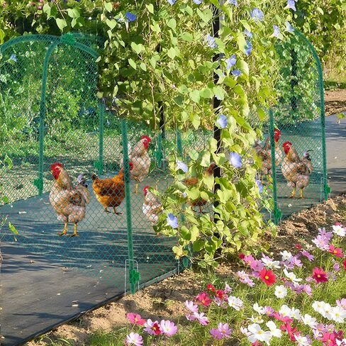Yalikop كبير نفق الدجاج Coop Run ، 157 × 31.5 × 25.5 بوصة ، من السهل تثبيت نفق الدواجن الأخضر الفناء للبناء في الهواء الطلق ، مثالية للدجاج والبط والأرانب والحيوانات الصغيرة in Saudi Arabia