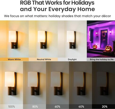 Neporal MagicGlow Rechargeable Light Bulbs with Remote, 3 Hue Shift + Stepless Dimmable Battery Powered Light Bulbs, USB Rechargeable, A19 Standard Size Emergency LED Light Bulbs, 15W, Up to 24 Hours in Kuwait