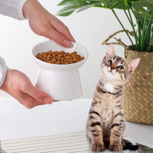 White Small Ceramic Raised Cat Bowls, Tilted Elevated Food or Water Bowls, Stress Free, Backflow Prevention, Dishwasher and Microwave Safe, Lead & Cadmium Free in Saudi Arabia