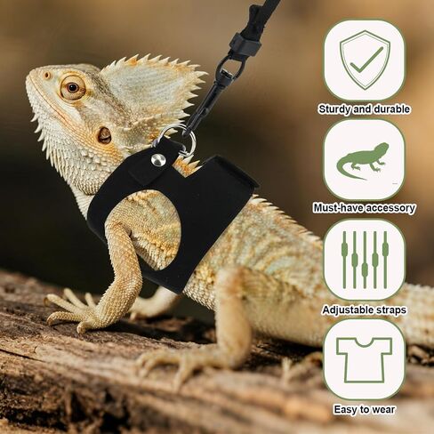 3pcs تسخير Dragon Harness & Leash ، 3 أحجام السحالي التدريب على المشي جلود قابلة للتعديل من الجلد الناعم السحلي الحاملة الحبل المشي للزواحف الصغيرة السناجب الحيوان in Kuwait