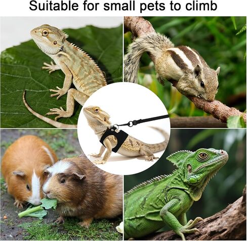 3pcs تسخير Dragon Harness & Leash ، 3 أحجام السحالي التدريب على المشي جلود قابلة للتعديل من الجلد الناعم السحلي الحاملة الحبل المشي للزواحف الصغيرة السناجب الحيوان in Kuwait