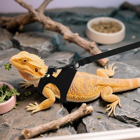 3pcs تسخير Dragon Harness & Leash ، 3 أحجام السحالي التدريب على المشي جلود قابلة للتعديل من الجلد الناعم السحلي الحاملة الحبل المشي للزواحف الصغيرة السناجب الحيوان in Kuwait