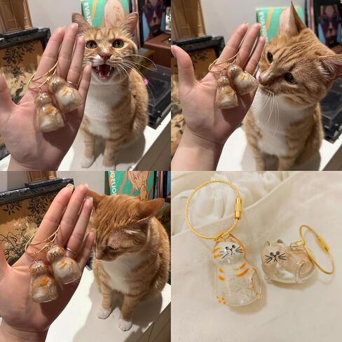 6Pcs Fur-Ever Loved Cat Hair Memorial Pendant, Cat Fur Keepsake Capsule Pendant, Cat Fur Keepsake Keychain, Pet Hair Storage Bottle, Cat Lover Collecting Gift in Saudi Arabia