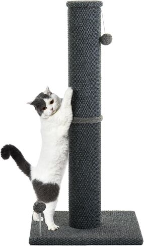 Cat Craft Cat Scratching Post Barge Reticulate Carpet Scroper Post post للقطط الداخلية ، POST TALL CAT SCRATCH ، خدش قطة السجاد مع ألعاب قابلة للاستبدال ، قاعدة قوية ، كبيرة ، رمادية in Kuwait