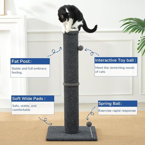 Cat Craft Cat Scratching Post Barge Reticulate Carpet Scroper Post post للقطط الداخلية ، POST TALL CAT SCRATCH ، خدش قطة السجاد مع ألعاب قابلة للاستبدال ، قاعدة قوية ، كبيرة ، رمادية in Kuwait