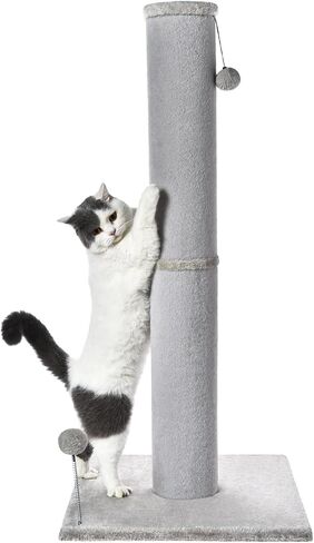 Cat Craft Cat Scratching Post Barge Reticulate Carpet Scroper Post post للقطط الداخلية ، POST TALL CAT SCRATCH ، خدش قطة السجاد مع ألعاب قابلة للاستبدال ، قاعدة قوية ، كبيرة ، رمادية in Kuwait