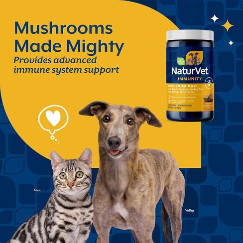 NaturVet Mushroom Max Advanced Immune Support Dog Supplement - 60 Ct in Saudi Arabia