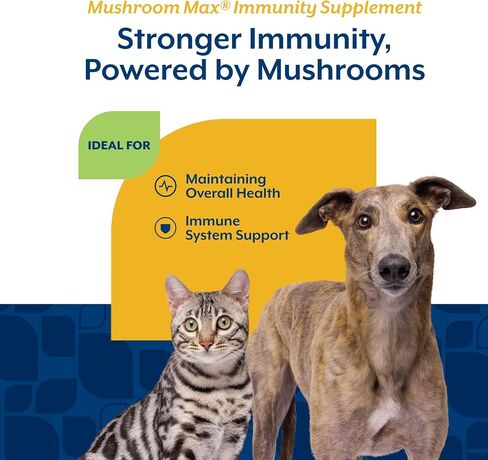 NaturVet Mushroom Max Advanced Immune Support Dog Supplement - 60 Ct in Saudi Arabia