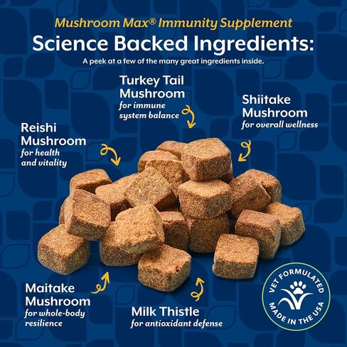 NaturVet Mushroom Max Advanced Immune Support Dog Supplement - 60 Ct in Saudi Arabia