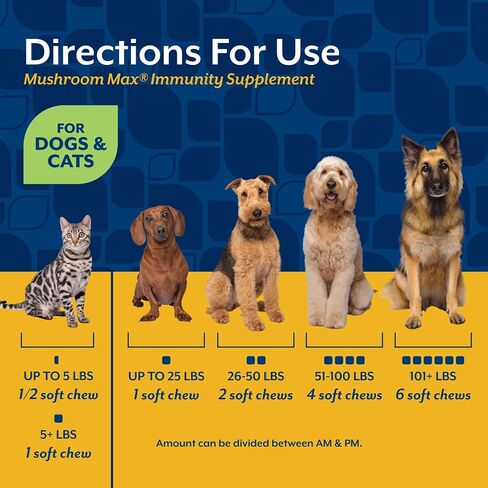 NaturVet Mushroom Max Advanced Immune Support Dog Supplement - 60 Ct in Saudi Arabia