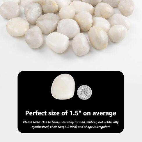 10 lbs Black River Rocks - Large Polished Black Pebbles for Plants & Garden Decorative Stones，1-2" Polished Pebbles for Landscaping, Fish Tanks, Flower Pots, Water Fountains in Kuwait