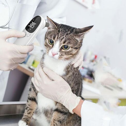 Cat Temperature Meter | Digital Pet Thermograph,Gauge Instant Portable Thermograph for Cattle Indoor Pigs Horse Cats Livestocks Health Dogs in Saudi Arabia